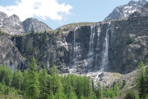 Tirol Engadin Südtirol Almabtrieb Last Minute Wandern