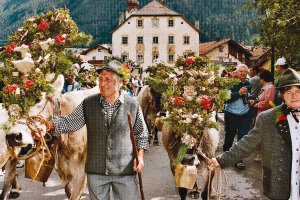 Tirol Engadin Südtirol Almabtrieb Last Minute Angebote